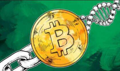 虚拟币今日价格行情(虚拟币行情价格表)-第1张图片-芝麻交易所下载